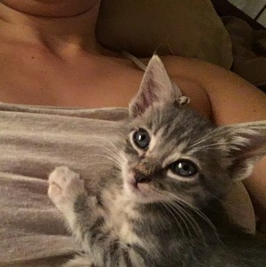 Fundraising Page: Sumi Folz